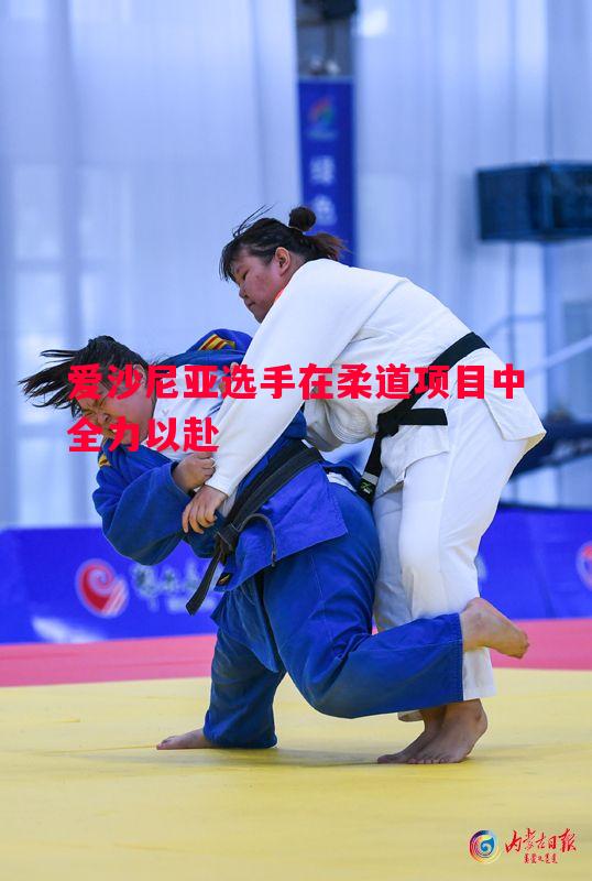 爱沙尼亚选手在柔道项目中全力以赴