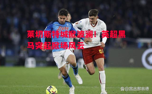 莱切斯特城掀波澜!英超黑马突起掀场风云 莱切斯特城掀波澜!英超黑马突起掀场风云