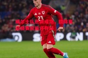 德信体育app下载-威尔士队逆袭成功，欧锦赛资格赛阶段还存疑