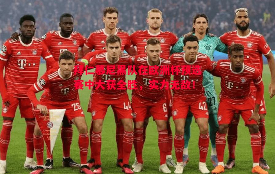 拜仁慕尼黑队在欧洲杯预选赛中大获全胜，实力无敌！