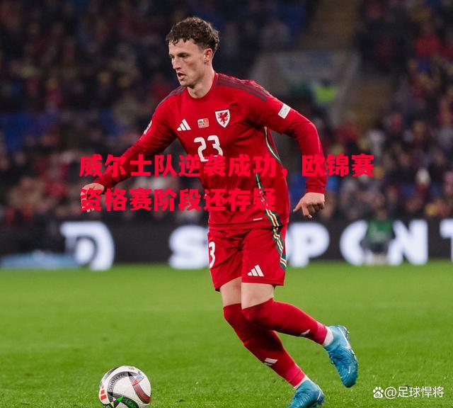 威尔士队逆袭成功，欧锦赛资格赛阶段还存疑